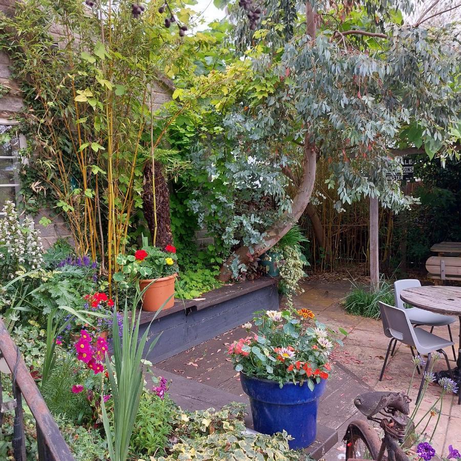 The Five Dials Inn Ilminster Εξωτερικό φωτογραφία